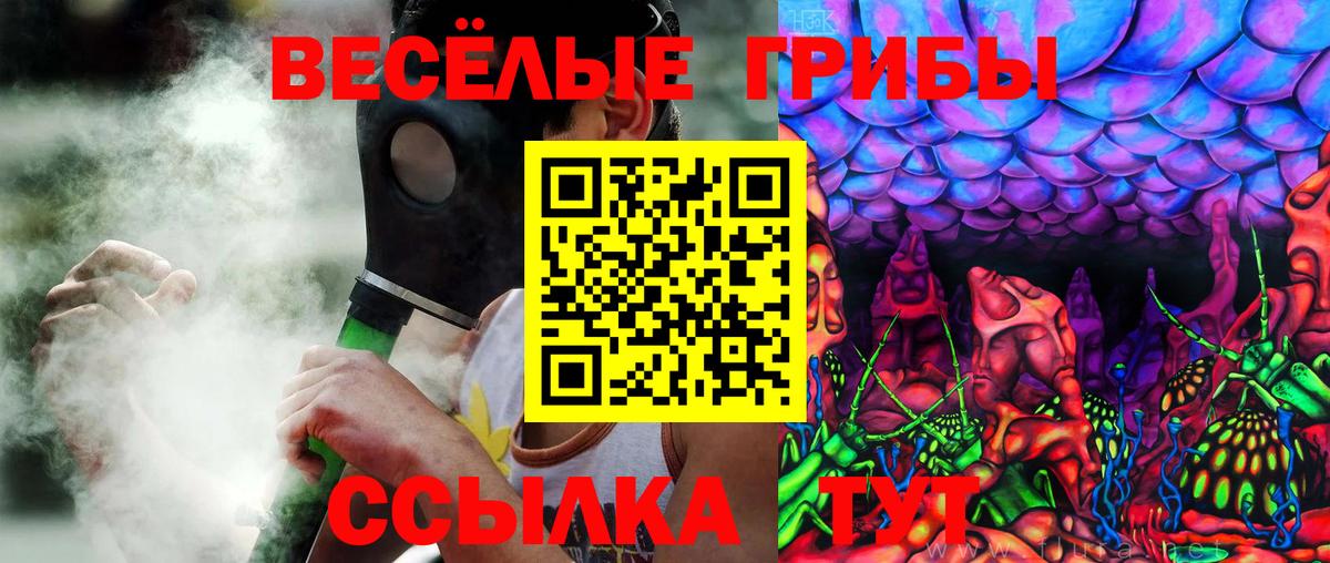 Галлюциногенные грибы мицелий Псков