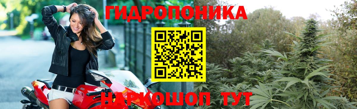 Конопля THC 21%  МАРИХУАНА гибрид  Псков  МАРИХУАНА Bruce Banner  Вход с VPN 